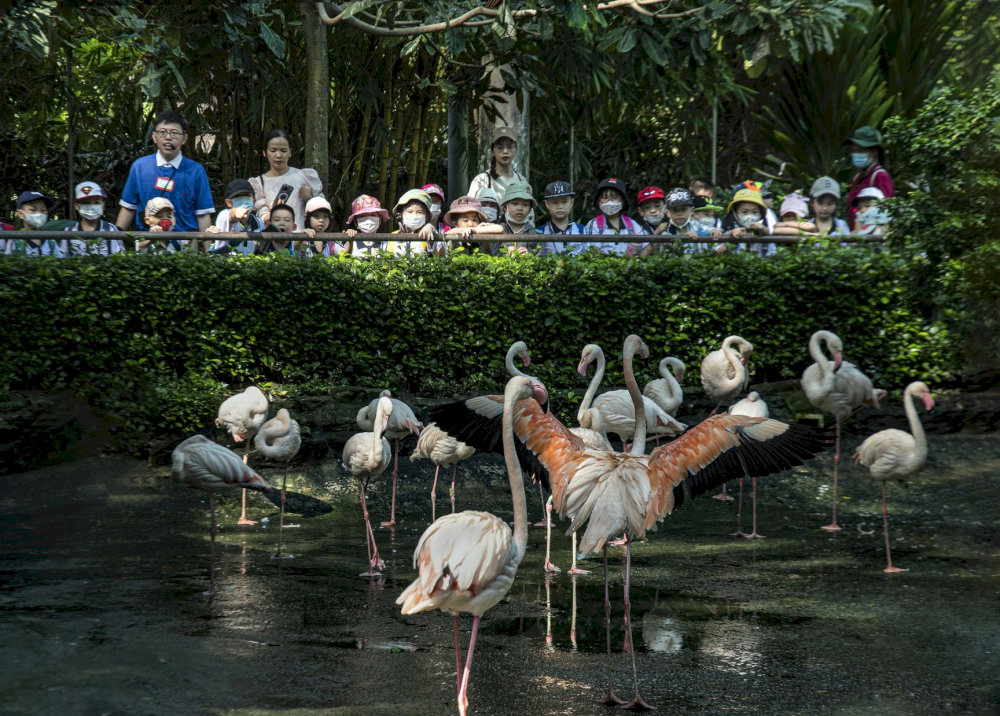 The Zoo is a valuable heritage in the heart of the city